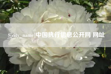 老河口中国执行信息公开网 网址