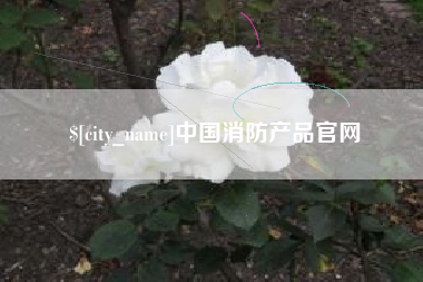 老河口中国消防产品官网