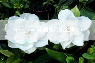 老河口中国的几块金牌2021