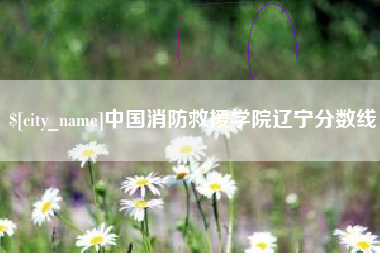 老河口中国消防救援学院辽宁分数线