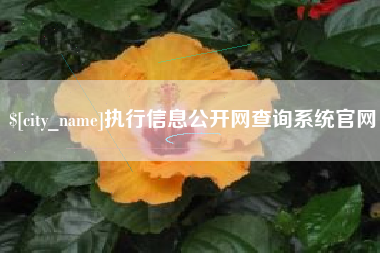老河口执行信息公开网查询系统官网