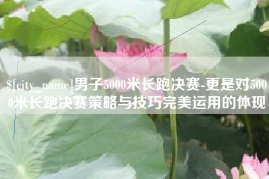 老河口男子5000米长跑决赛-更是对5000米长跑决赛策略与技巧完美运用的体现