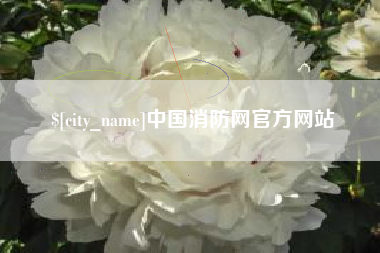 老河口中国消防网官方网站