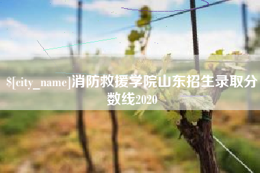 老河口消防救援学院山东招生录取分数线2020
