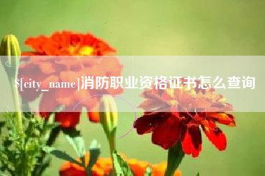 老河口消防职业资格证书怎么查询