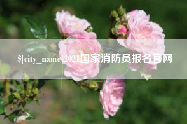 老河口2021国家消防员报名官网