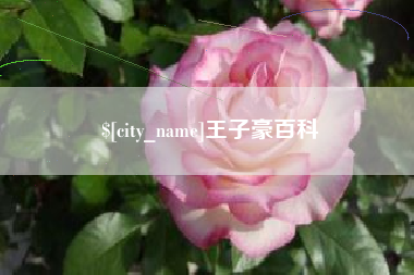 老河口王子豪百科