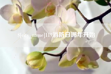 老河口119消防日哪年开始