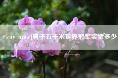 老河口男子五千米世界冠军奖金多少