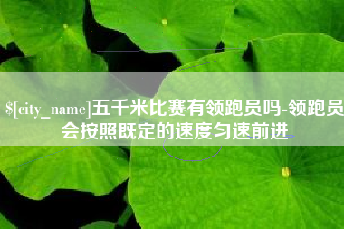 老河口五千米比赛有领跑员吗-领跑员会按照既定的速度匀速前进