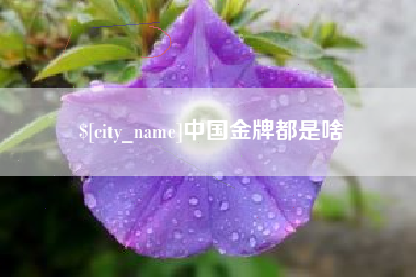 老河口中国金牌都是啥