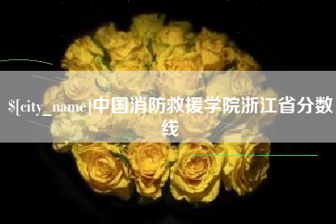 老河口中国消防救援学院浙江省分数线