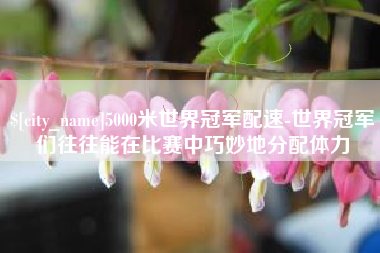 老河口5000米世界冠军配速-世界冠军们往往能在比赛中巧妙地分配体力