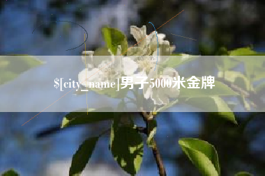 老河口男子5000米金牌