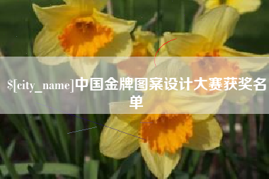 老河口中国金牌图案设计大赛获奖名单