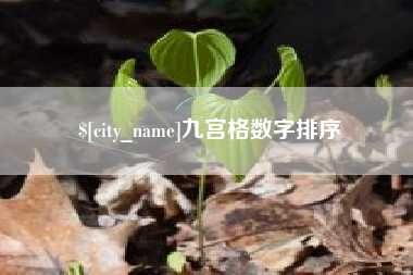 老河口九宫格数字排序