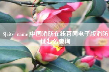 老河口中国消防在线官网电子版消防证怎么查询