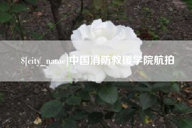 老河口中国消防救援学院航拍
