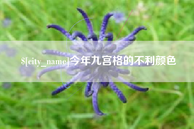 老河口今年九宫格的不利颜色
