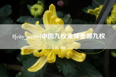 老河口中国九枚金牌是哪九枚