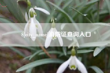 老河口消防证查询入口
