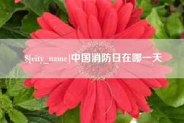 老河口中国消防日在哪一天