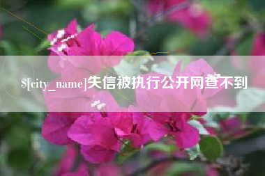 老河口失信被执行公开网查不到