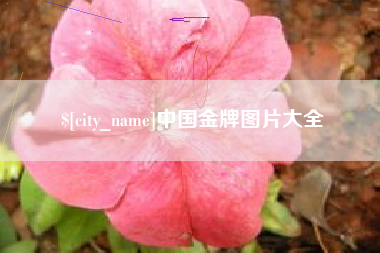 老河口中国金牌图片大全