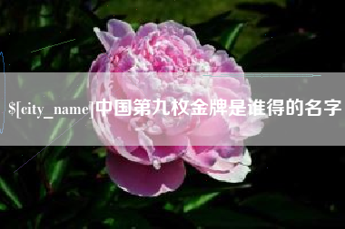 老河口中国第九枚金牌是谁得的名字