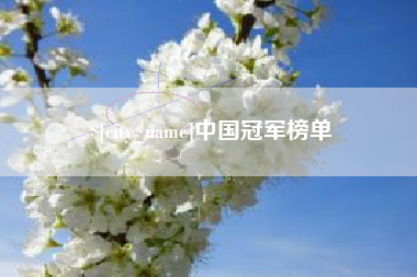 老河口中国冠军榜单