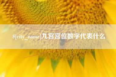 老河口九宫宫位数字代表什么