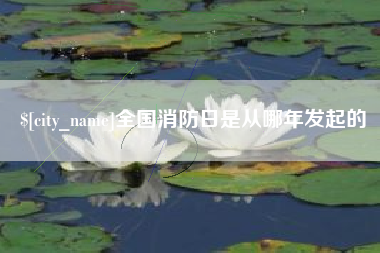 老河口全国消防日是从哪年发起的