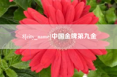 老河口中国金牌第九金