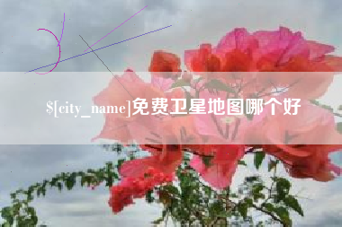老河口免费卫星地图哪个好