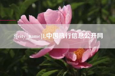 老河口1.中国执行信息公开网