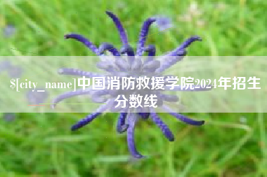 老河口中国消防救援学院2024年招生分数线