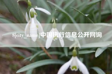 老河口中国执行信息公开网询
