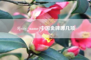 老河口中国金牌哪几项