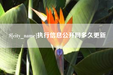 老河口执行信息公开网多久更新