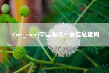 老河口中国消防产品信息查询
