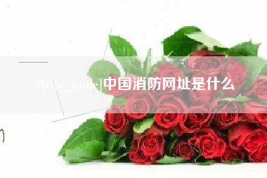 老河口中国消防网址是什么