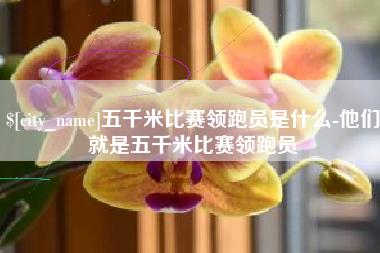 老河口五千米比赛领跑员是什么-他们就是五千米比赛领跑员