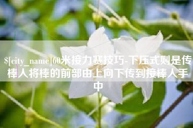 老河口60米接力赛技巧-下压式则是传棒人将棒的前部由上向下传到接棒人手中