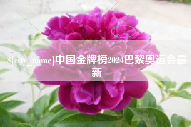 老河口中国金牌榜2024巴黎奥运会最新
