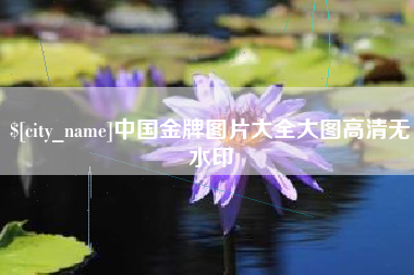 老河口中国金牌图片大全大图高清无水印