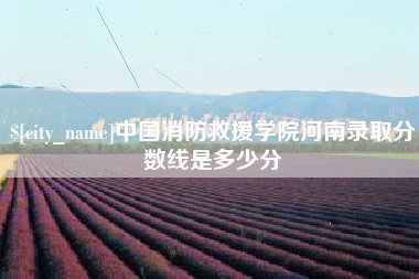 老河口中国消防救援学院河南录取分数线是多少分