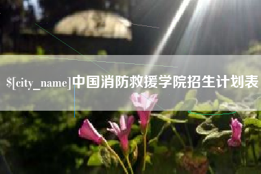 老河口中国消防救援学院招生计划表