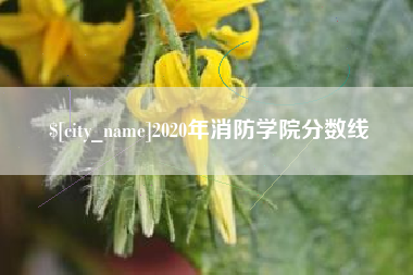 老河口2020年消防学院分数线