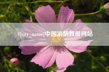 老河口中国消防救援网站