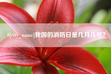 老河口我国的消防日是几月几号？